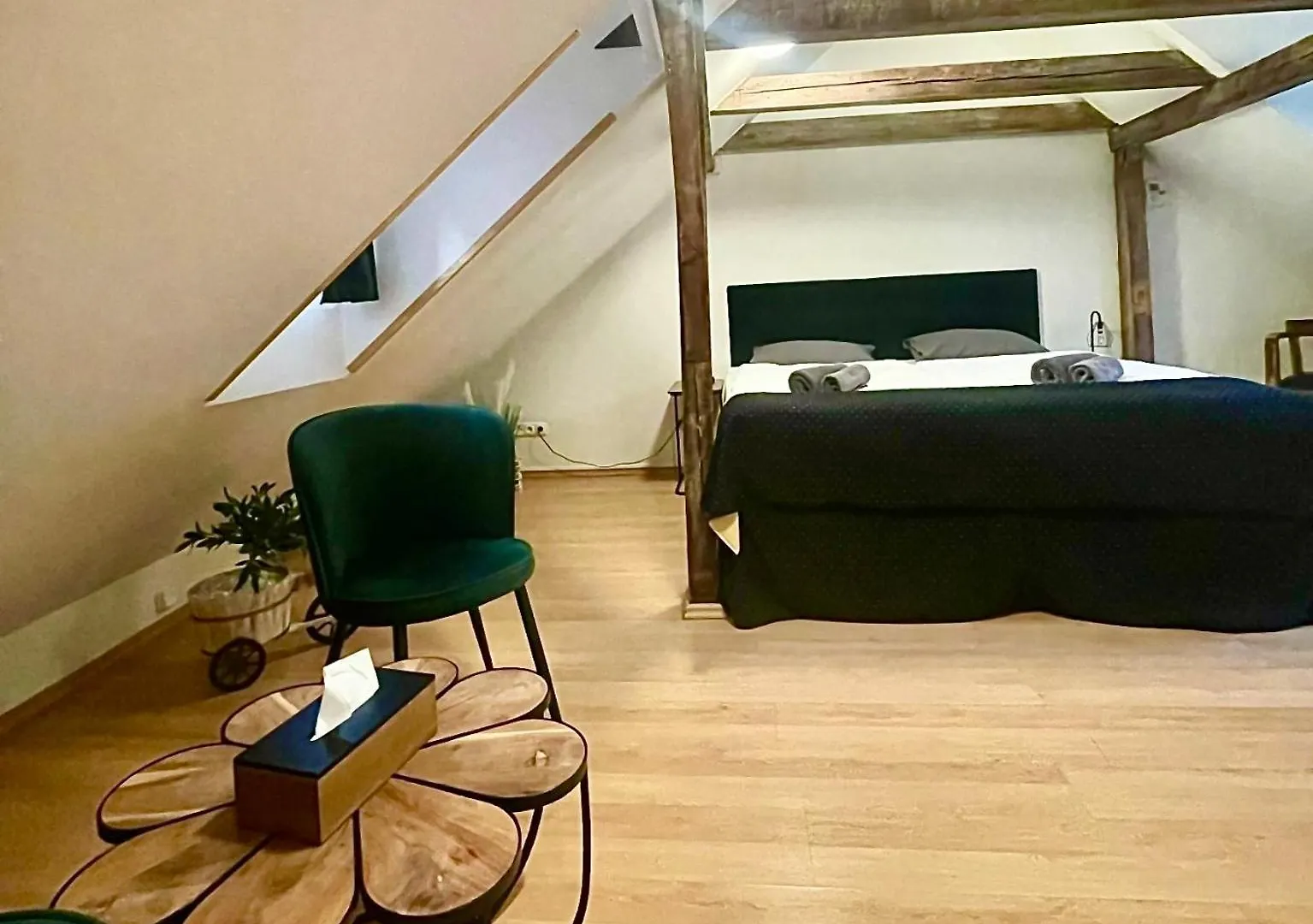 Apartamento U Zeleného jalovce Praga
